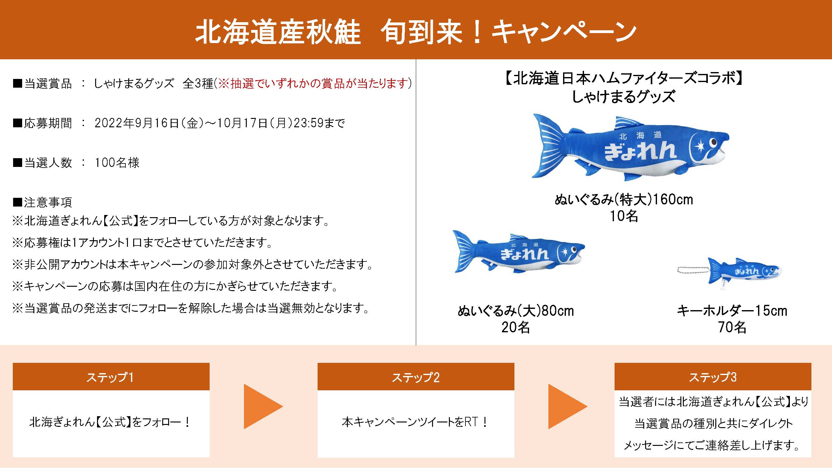 日本ハムファイターズ 北海道ぎょれんコラボ しゃけまる 160CM