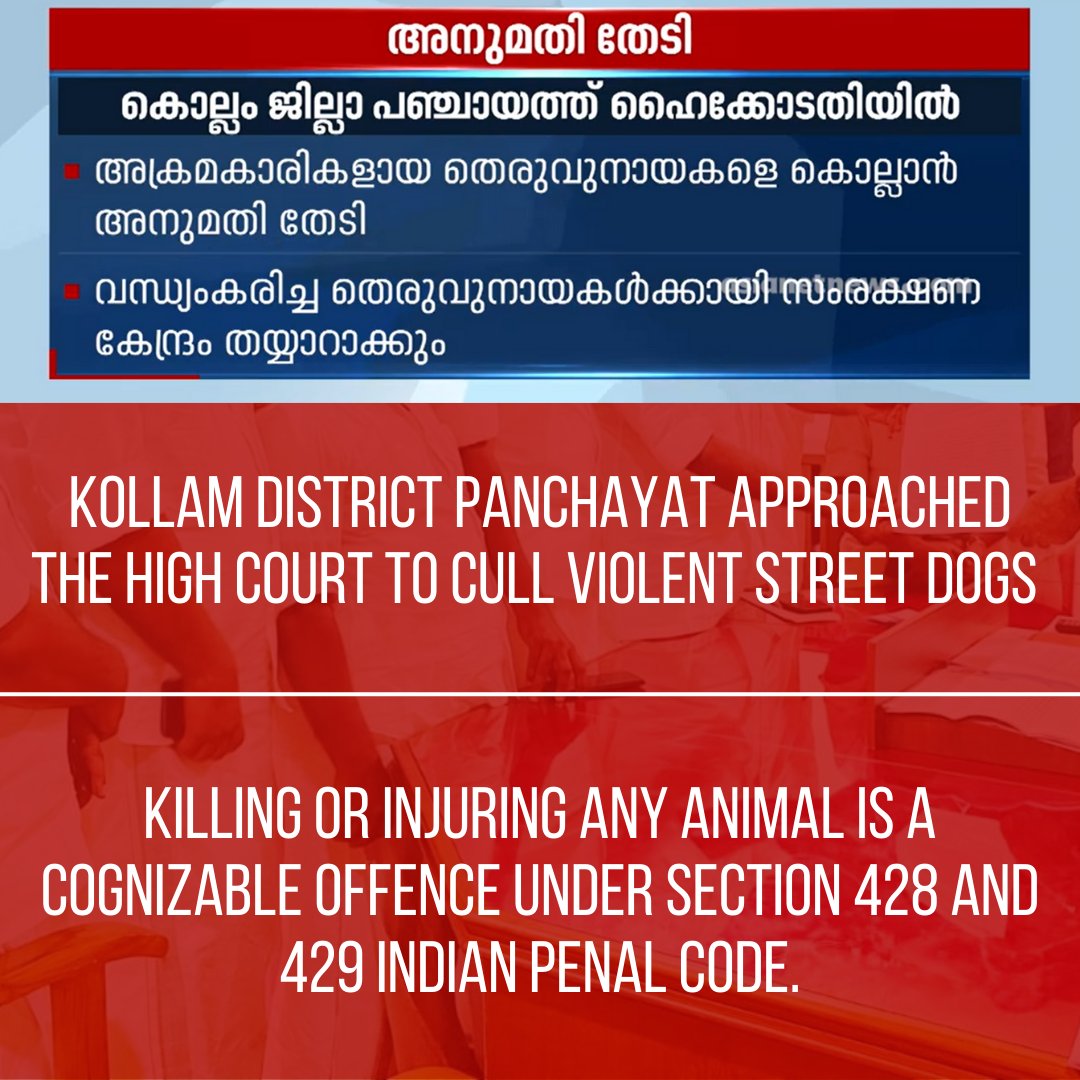 muddyhounds_'s tweet photo. #standupfordogs #stopthekilling #keraladogs https://t.co/HviXOlHF3l