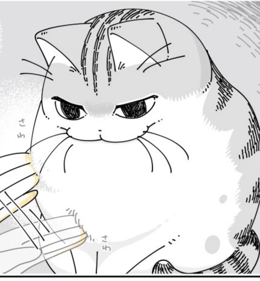 @kyuryuZ このお顔と距離感、なんかたまらない…🥰 