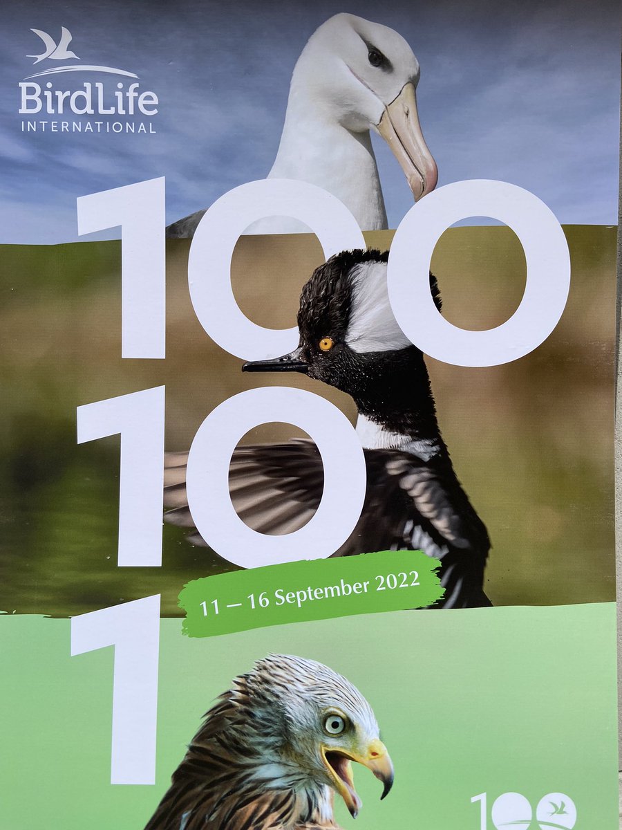 TammyEDavies's tweet photo. What an awesome couple of weeks with colleagues new and old IN PERSON celebrating 100 years of @BirdLife_News and 25 years of @BirdLifeMarine 🎉
#birdlife100 #dreamteam https://t.co/uI7gYXvbd4