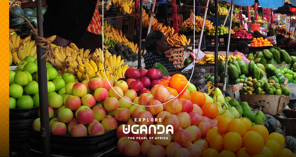 Explore Uganda-Africa tweet media