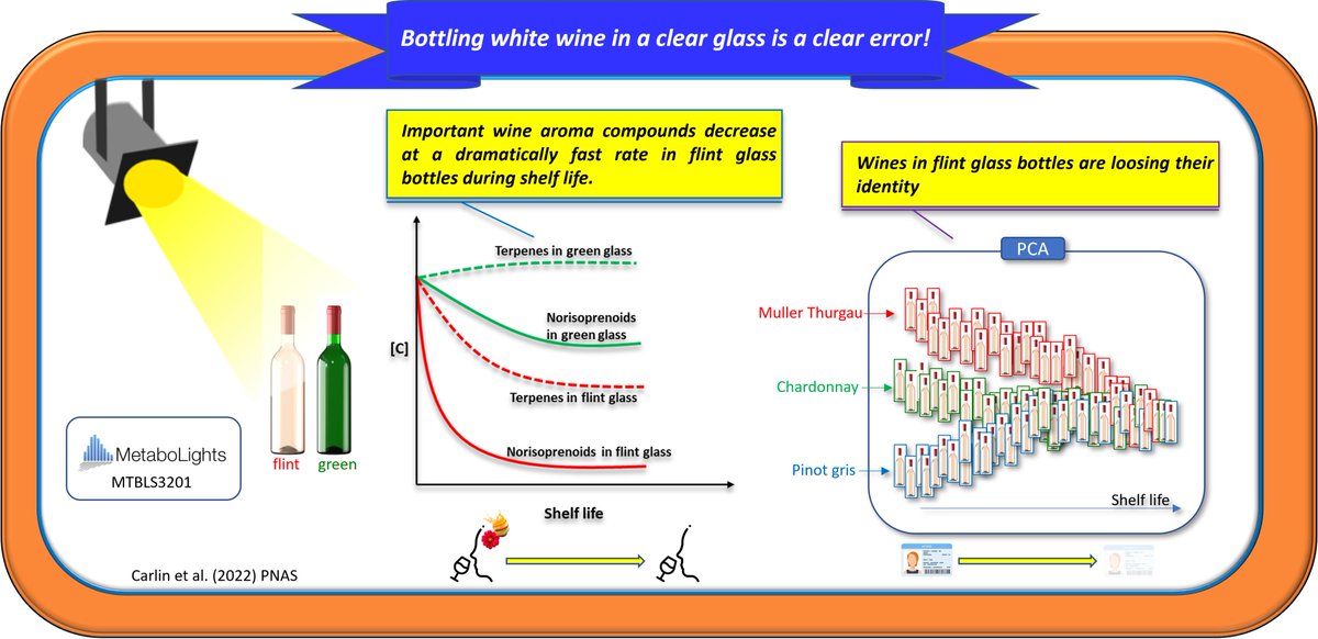 polyphenologist tweet media