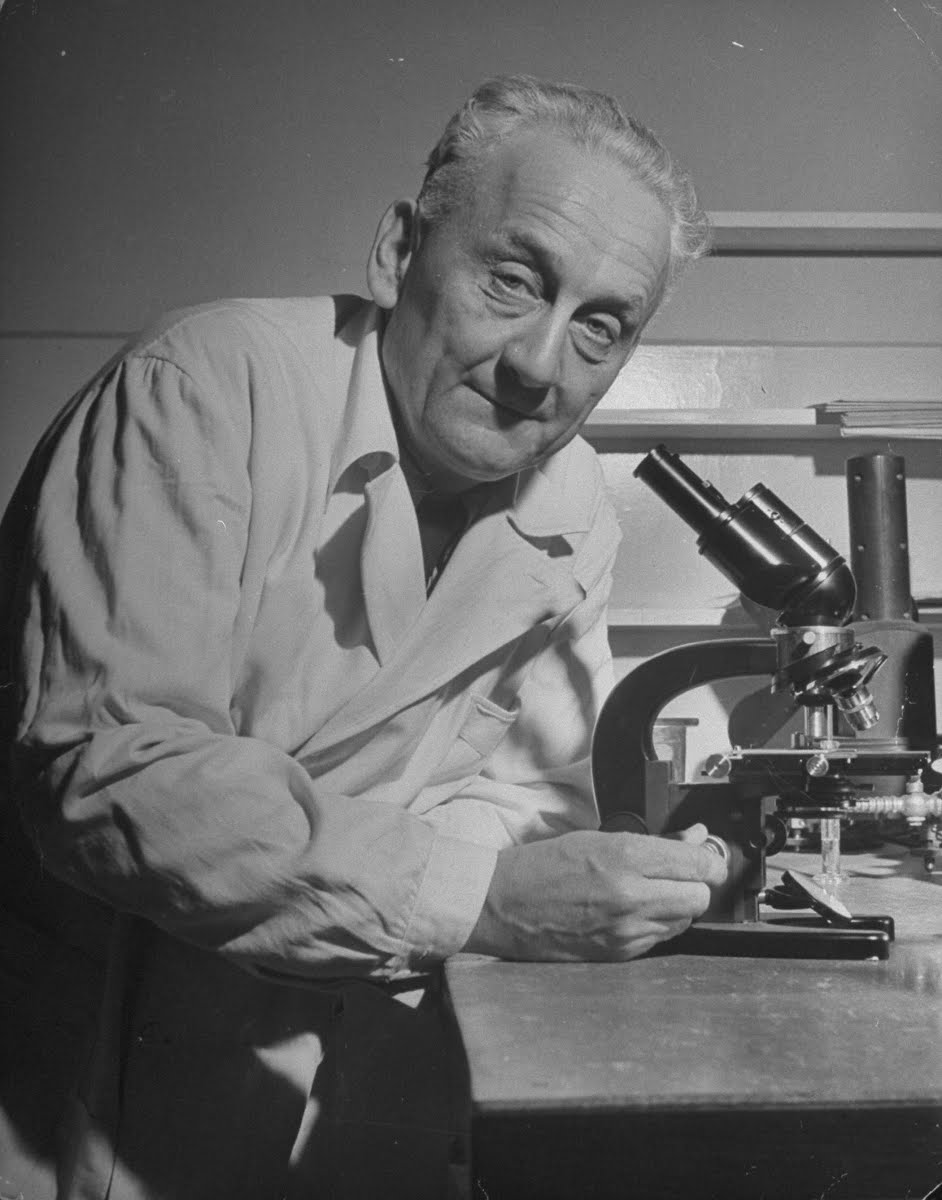 Аньош иштван йедлик электромобиль. Ганс селье. Картинка венгр йедлик аньош. Венгерские ученые. Дьердь хевеши ученый.