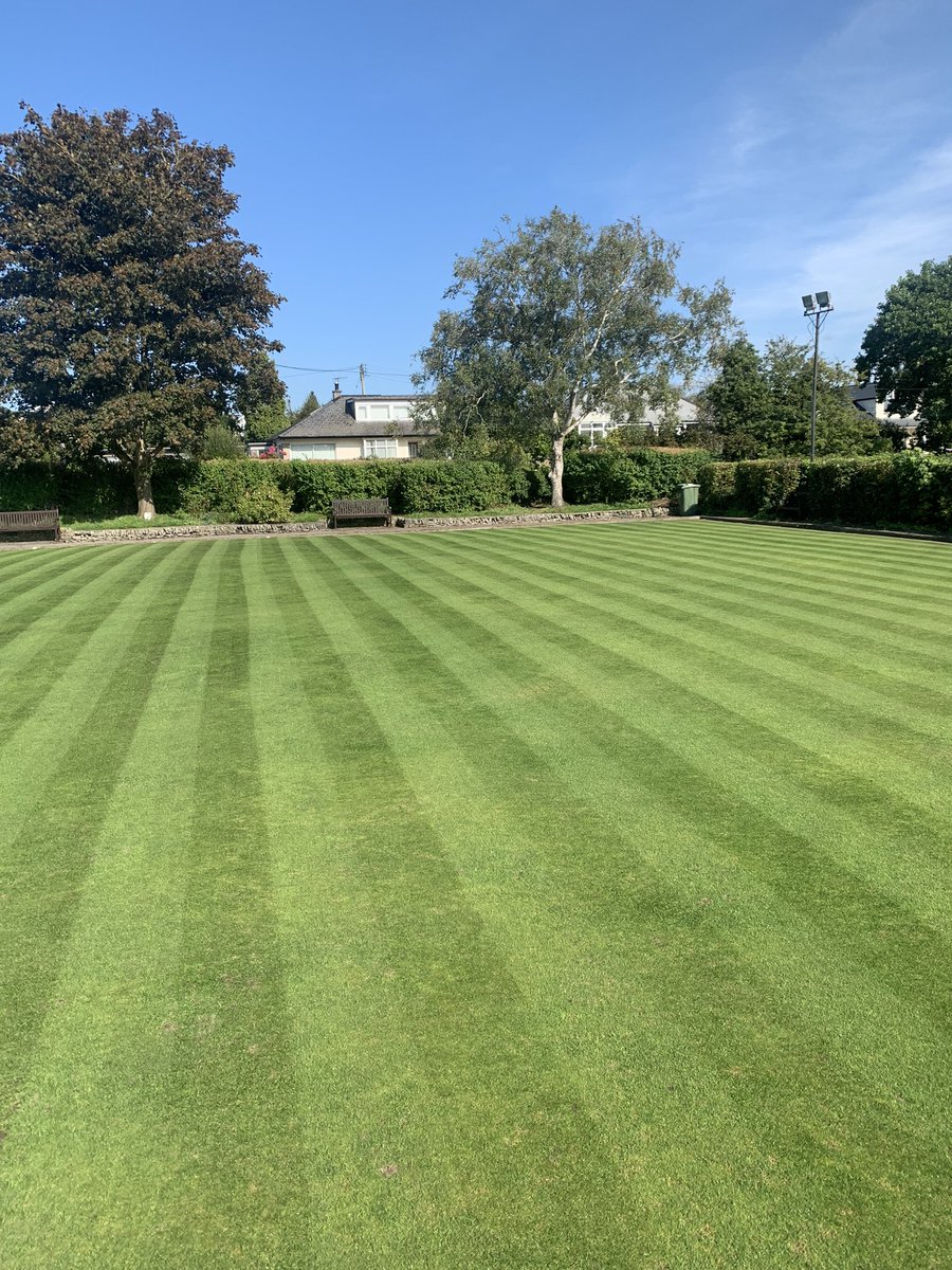 techno_t's tweet photo. Green has really kicked on! Thanks to @greenergrounds for the overseeding, @HmSeedsAmenity for the seed, @terralift for powering a light feed and @SymbioUK for all the great soil biology for this year! #dreamteam https://t.co/0FrrIlsnpU