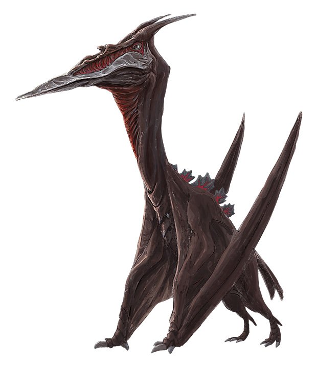 ラドン禁止って見てなとごと?と思ってしまった😅 