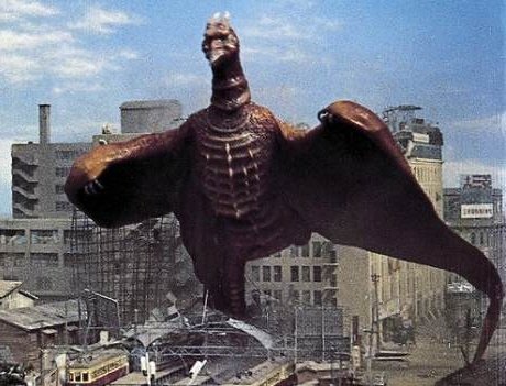 ラドン禁止って見てなとごと?と思ってしまった😅 