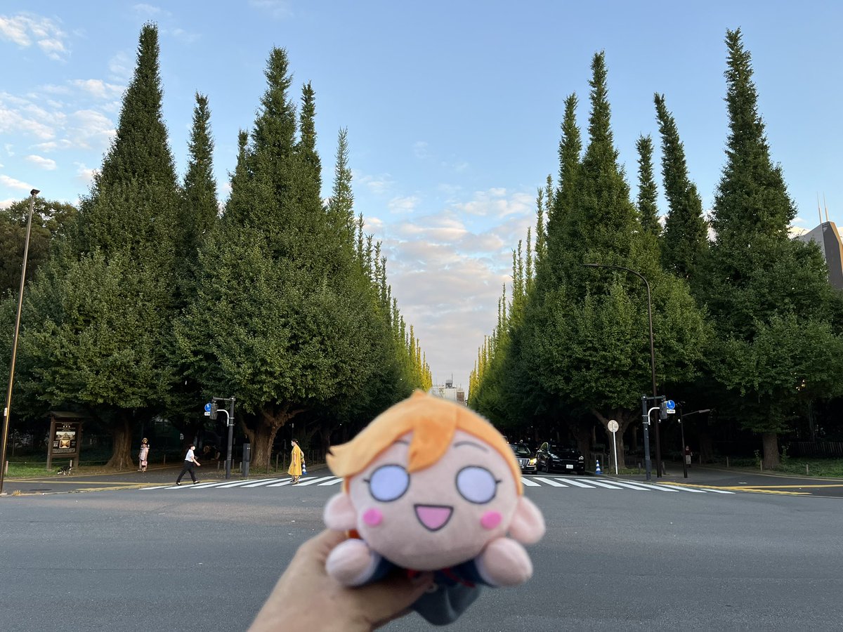 yamaarashi_1972's tweet photo. 第8話のCDCWを披露したのはここよね?
#ラブライブスーパースター
#Liella
#ChanceDayChanceWay
#いちょう並木 https://t.co/69OsedZiO2