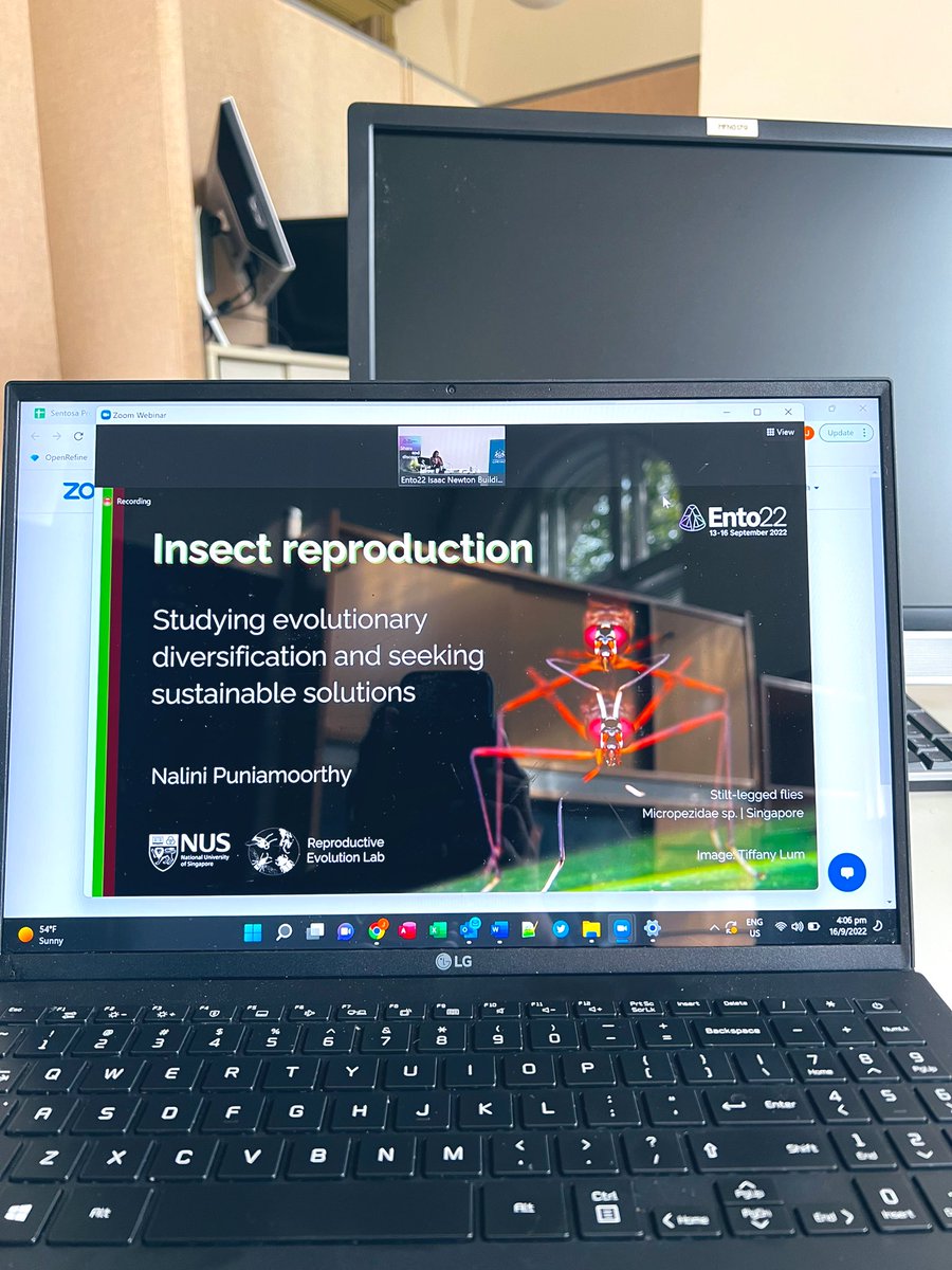 JPuniamoorthy's tweet photo. Watching my sister @Nalini_DrP give a plenary talk for #Ento2022 on studying insect reproductive evolution and diversification.

Kudos also to her lovely lab team who have done such cool work.

🙌🏾👍🏾🖖🏾🤘🏾 https://t.co/nTn1KzmuaG