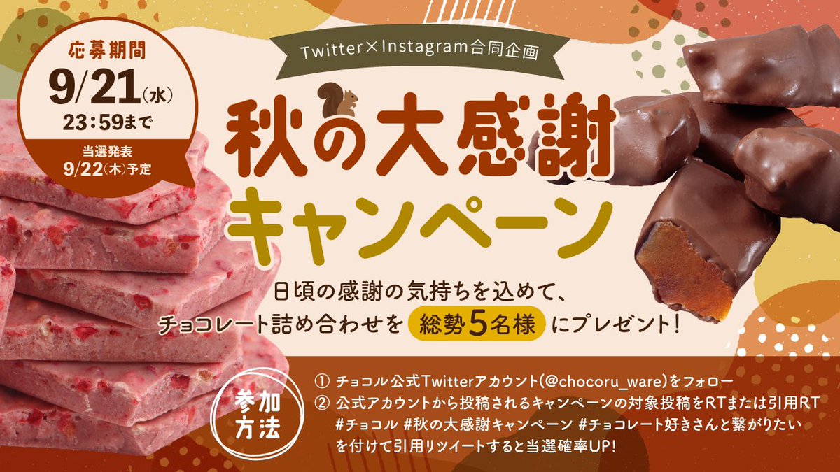 正規取扱店 チョコレート詰め合わせ② brothersofothers.com