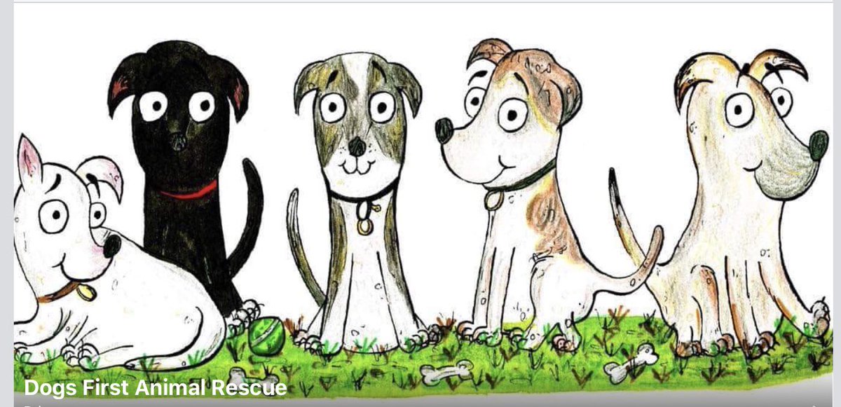 The Debs Foundation tweet media