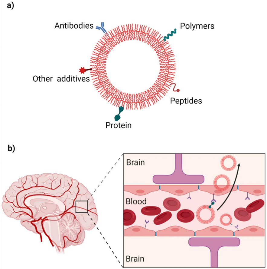 ScienceofPD's tweet photo. New review explores repositioning of drugs for #Parkinsons &amp; how some of the pharmaceutical nanotechnology tools could be employed for their optimization
https://t.co/nd3NHD0dnc https://t.co/xrNZc2H6A0