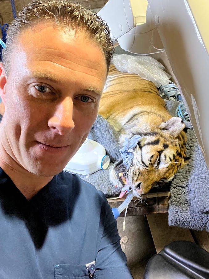 SeapointClinic's tweet photo. Selfie with a Tiger Anyone? Amongst others, Niamh McGill, Nora Schwitzer, Joei Potter, Mr Ciaran McMahon , Me getting in everyone's way . Tundra, I'm sure, appreciates you guys! https://t.co/agsK9hSoT9