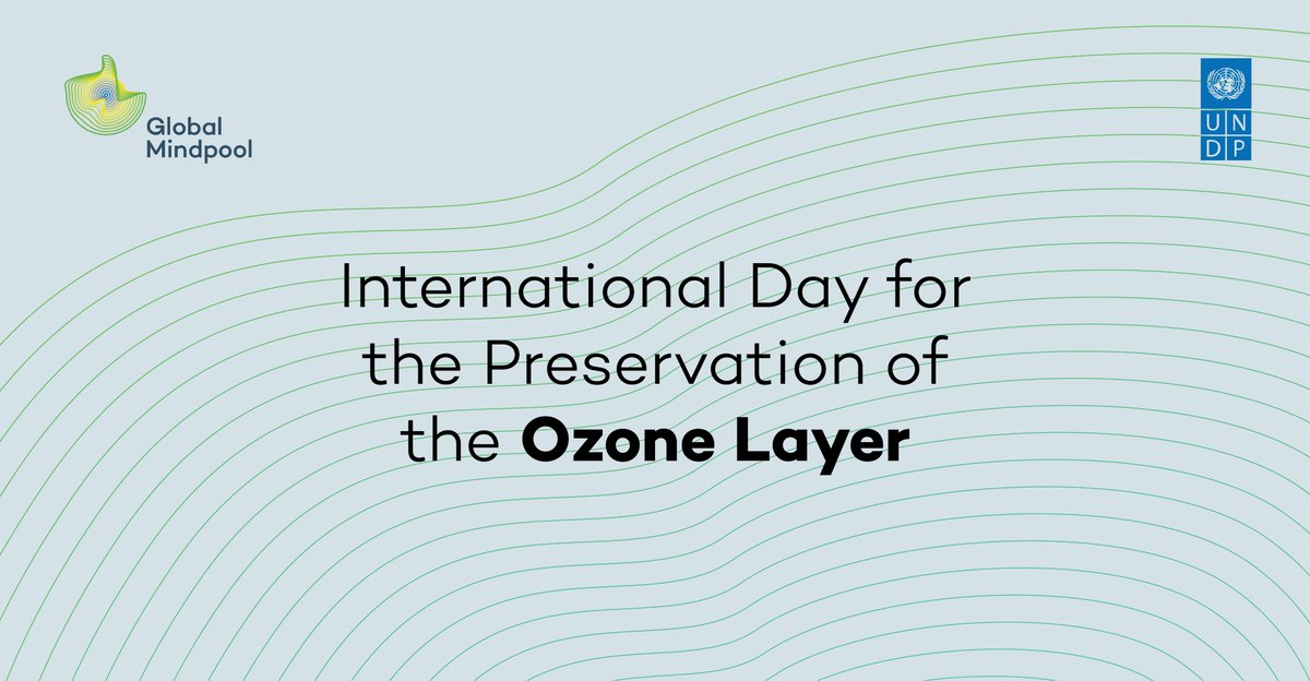 Global Mindpool tweet media