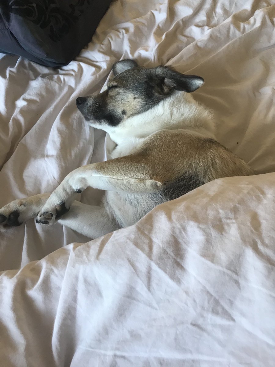 Leave me sleeping mum... I’m ever so tired!