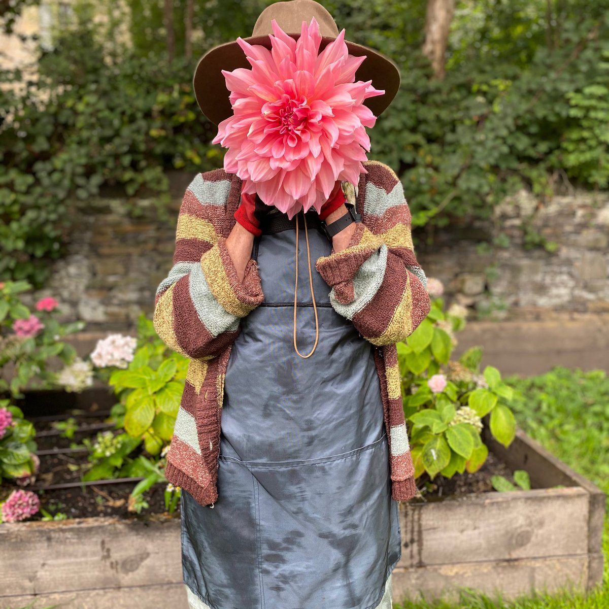 ClemsGardenHQ's tweet photo. Our #FridayFlowers stall is taking a break this week, but we’ll be back at the gates with the freshest seasonal flower bunches from the garden on Friday 23rd September 💚💚💚 #ClemsGarden #Lindley #Huddersfield #EcoFlowers #GrowingKindness #CommunityIsFamily #Volunteers https://t.co/OHzIsPcSgT