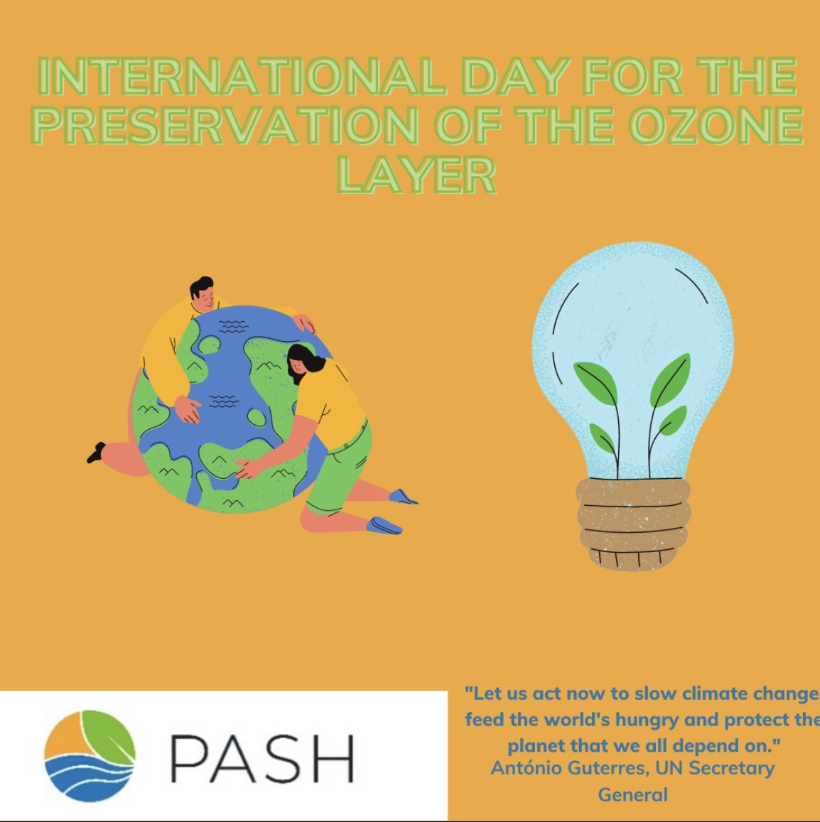 PASH GLOBAL tweet media