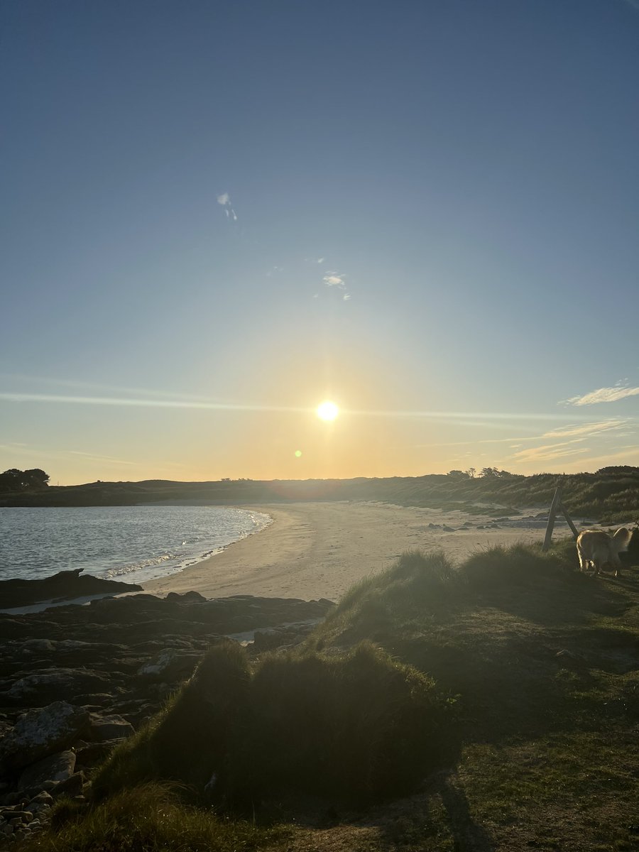 Happy Friday ! Chilly morning walk