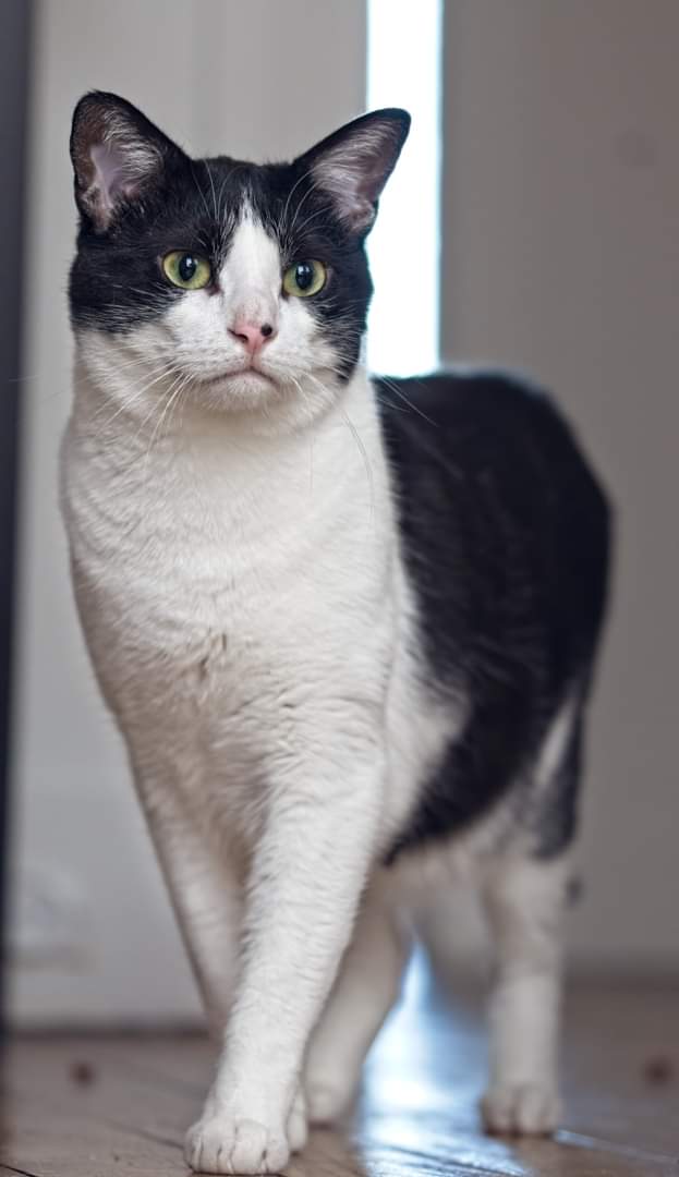 Association Owca tweet media