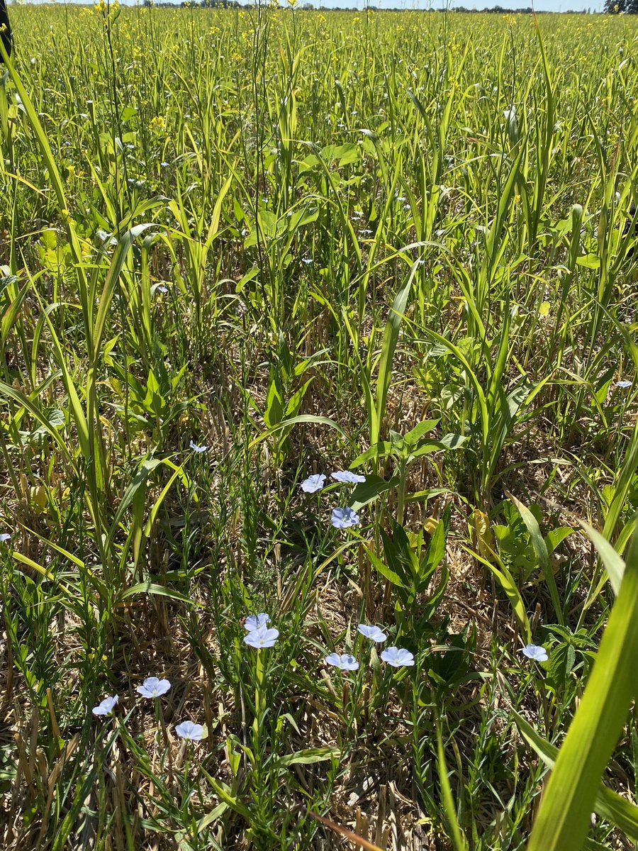 Baptiste Duhamel tweet media