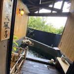 ほったら君@旅人お乾杯投資家(サイドFIRE済)👒のツイート画像