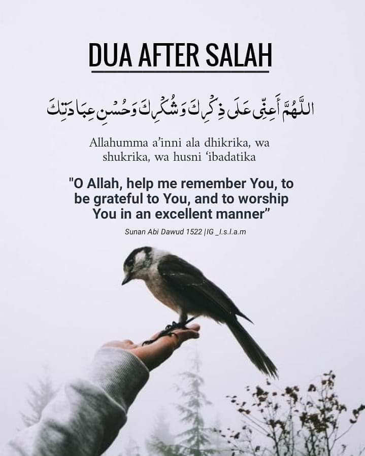 ¤》Dua after Salah

¤》Must Read 📚 

¤》Thread ✨️👇 https://t.co/35yt3V1XUs