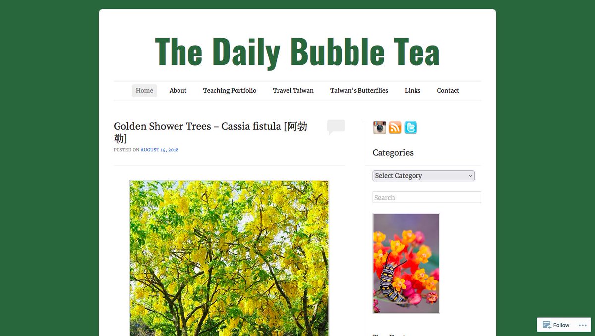Deleted the old photoblog today after not updating in four years. Fun while it lasted! I hope nobody buys the domain name and uses it for something weird.