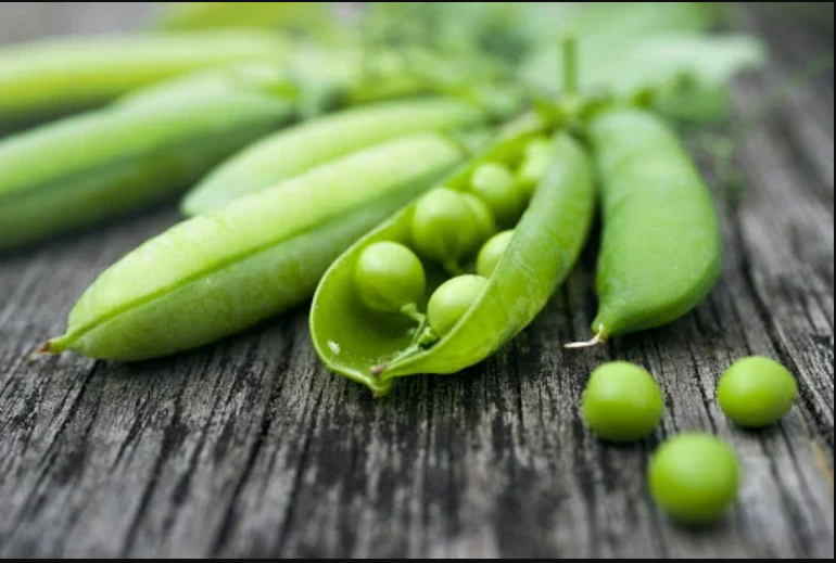 fastandup marketing tweet media