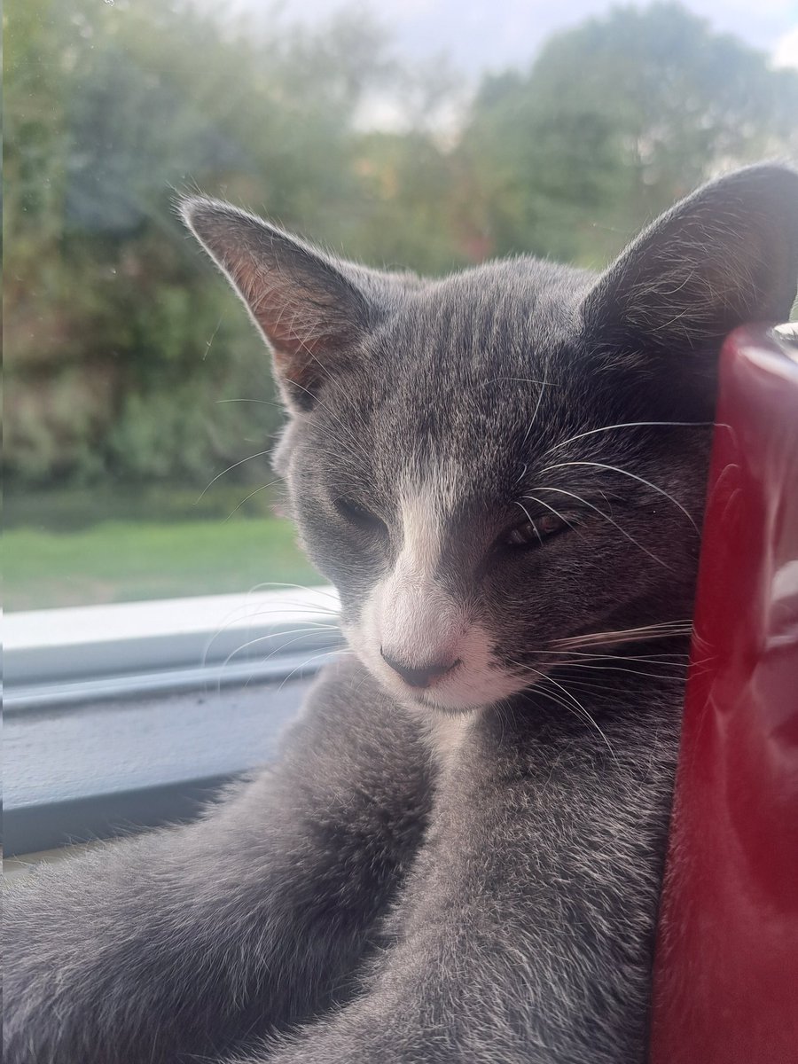 cindy_roest's tweet photo. Supervrijdag, wees allemaal lief voor elkaar. Heb respect voor alles om je heen, dan is de wereld zoveel mooier. https://t.co/6bqekb4kOE