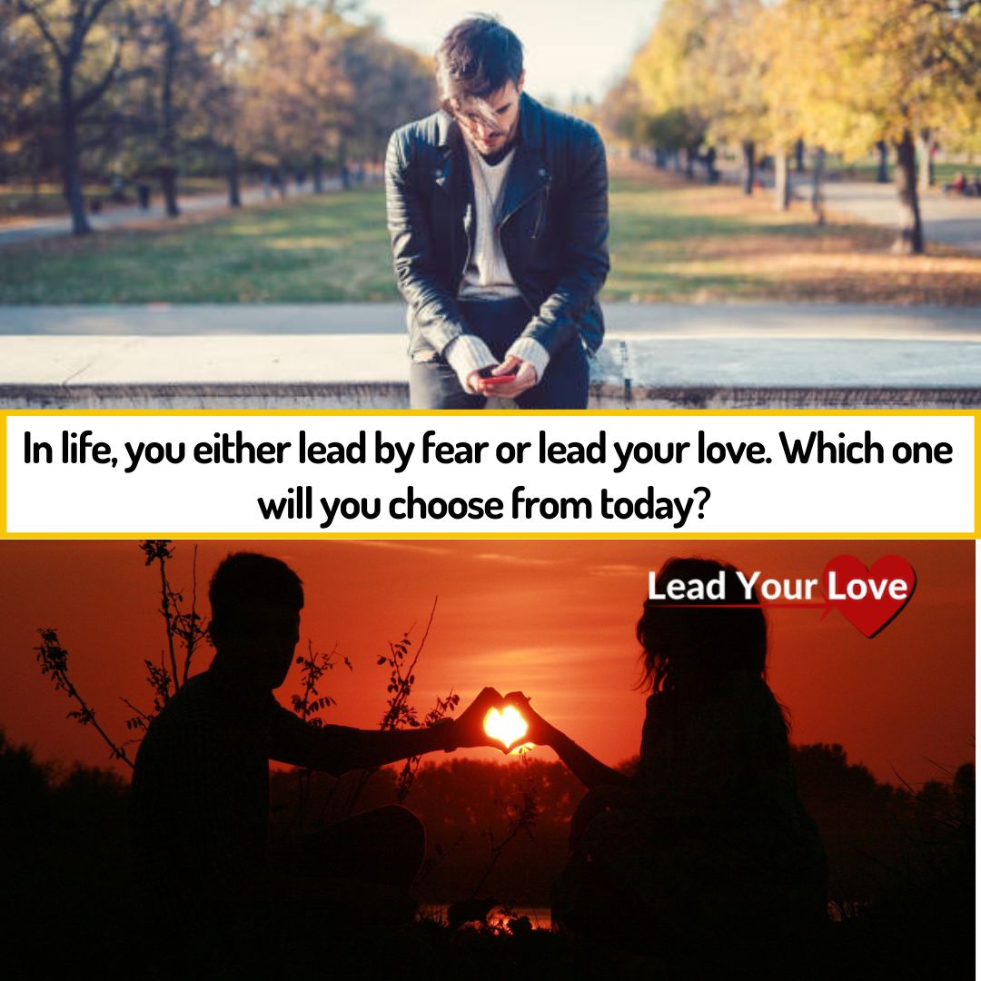 lovecoachsam's tweet photo. In life, you either lead by fear or lead your love. Which one will you choose from today?

#attracting #women #mystery #relationship #causing #discomfort #future #beautiful #sad #hate #man #she #finds #attractive #love #happen https://t.co/V0ONVVqsVb
