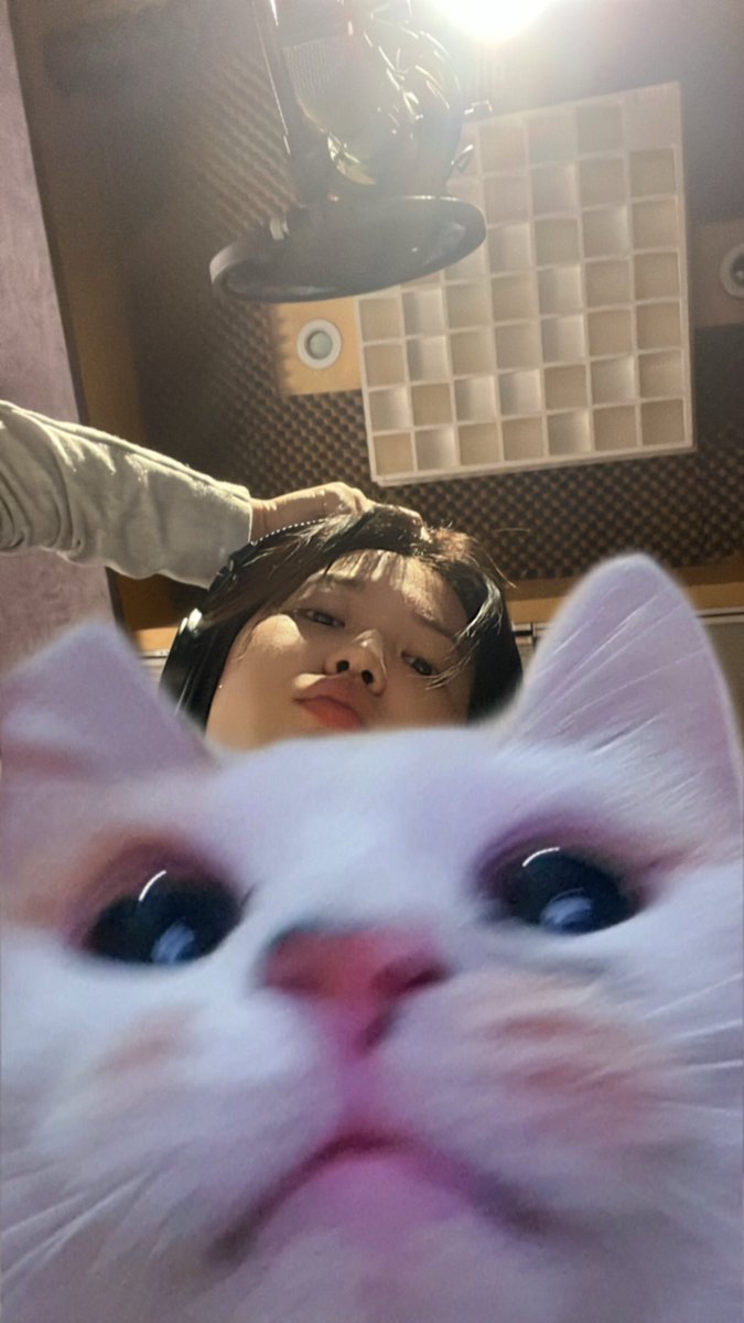 yerinventory's tweet image. 🐢🫧091622