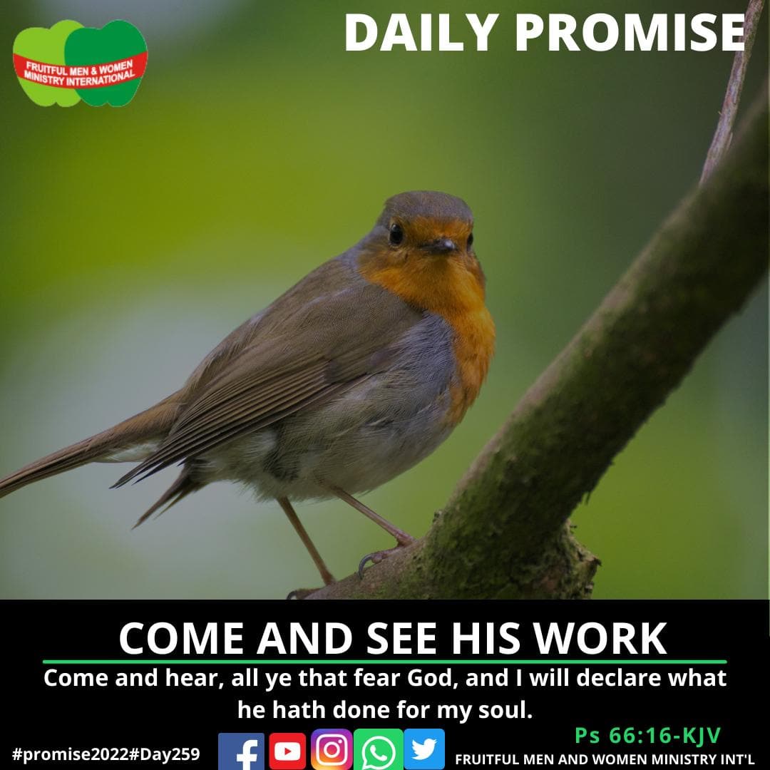 FMWMI_'s tweet photo. #dailypromise https://t.co/jTi7H5DqXD