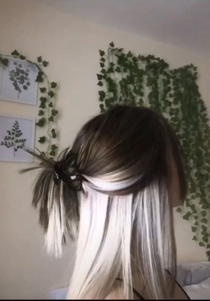 Elegance, culture, pastry Paris I'm here