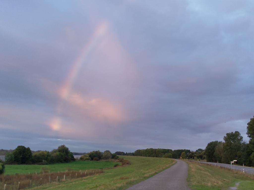 Guten Morgen #Voerde.
#Radfahren #MdRzA #Niederrhein
#Regenbogen