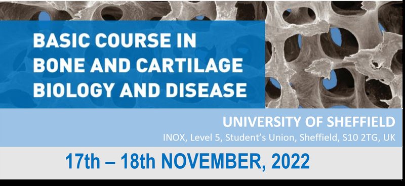 📢 Registration is open for the BRS Basic Course in Bone and Cartilage Biology and Disease. This 2 day course, 17-18 Nov, is perfect for PhD, Postdoc and tech researchers to develop strong knowledge in bone and build your collaborative network. boneresearchsociety.org/meetings/basic…