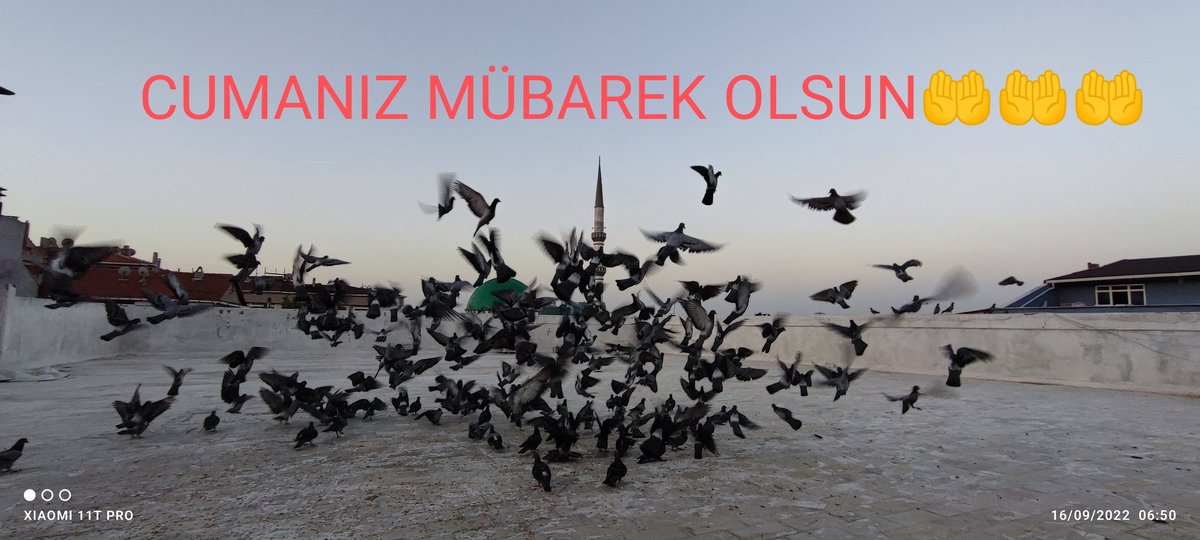 CİHAN KÜLÜNK (@ckulunk) on Twitter photo 