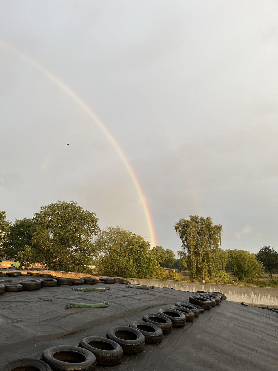 JoergSchepers's tweet photo. Schöner Start in den Tag!🌈☀️ https://t.co/dictYW3Vd5