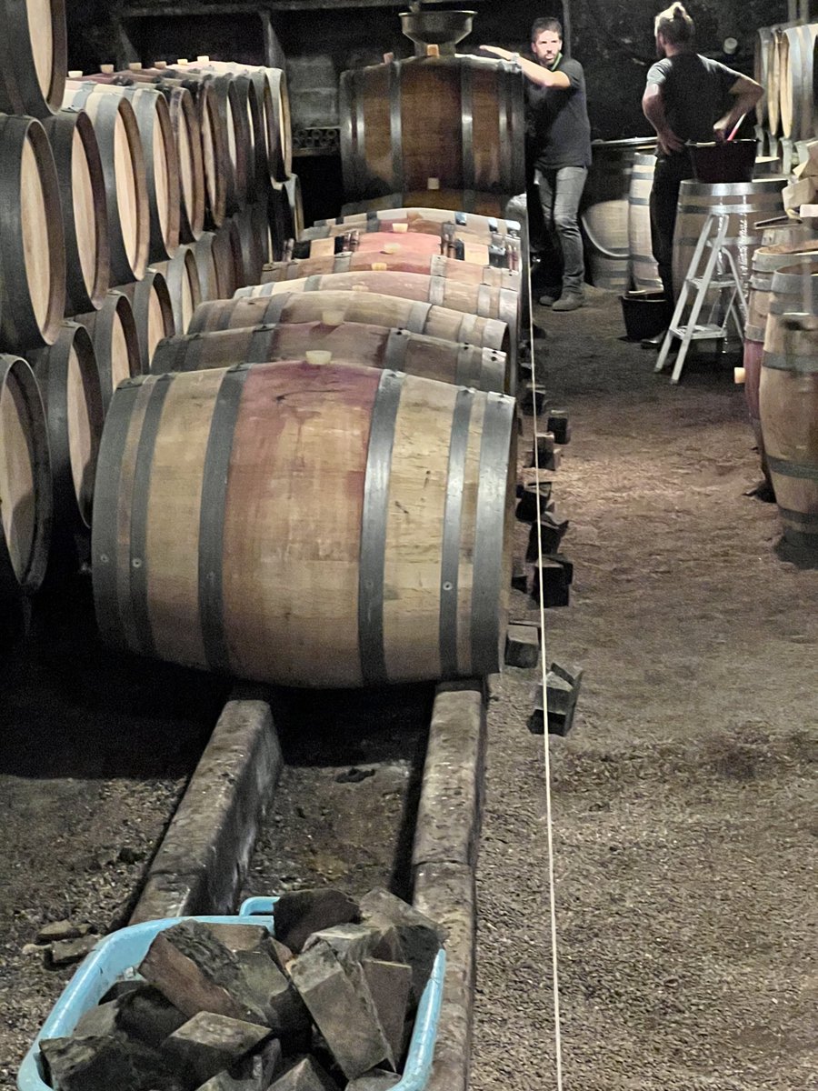 In Bourgogne, wine sleeps more peacefully if it’s well aligned.