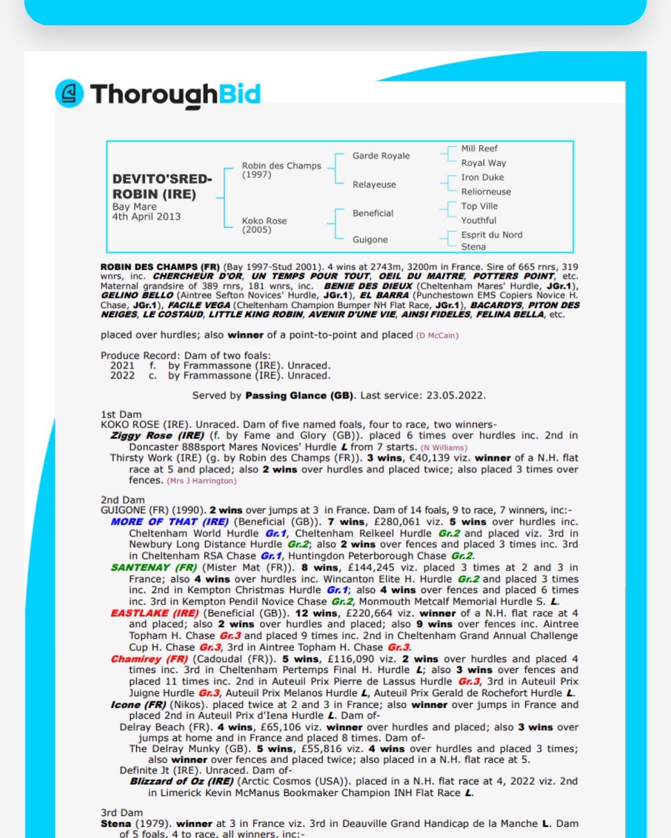 BeswickBrothers's tweet photo. Devito’sredrobin sells today @thorough_bid with her lovely Frammassone colt at foot. She’s from the family of world hurdle winner More Of That. A fantastic opportunity to buy into a strong National hunt family #lookatthepage #lovelymare #Frammassone https://t.co/CWStu2urLc