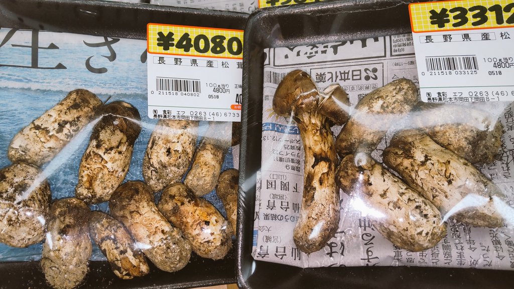 信州木曽産　松茸300グラム