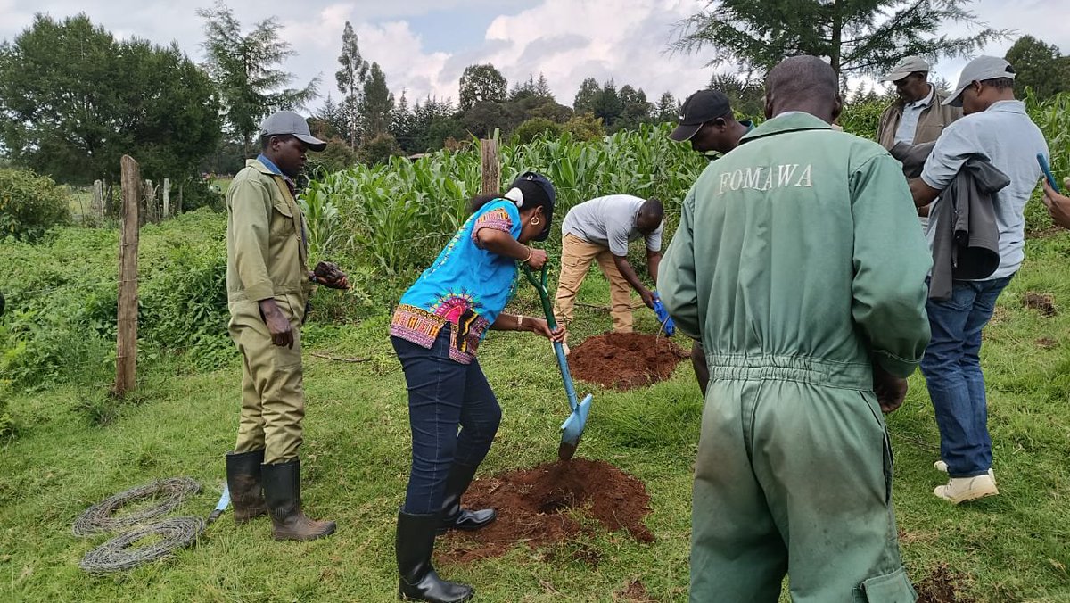 FOMAWA's tweet photo. #Maraday.2022.  We Initiated a programme of "Growing Trees with Communities in Schools".  The children+everyone involved with the schools learn how to grow trees to the highest standard. @ Kiptaragon Technical Vocational College. Kuresoi South. https://t.co/RdnMGwReaq