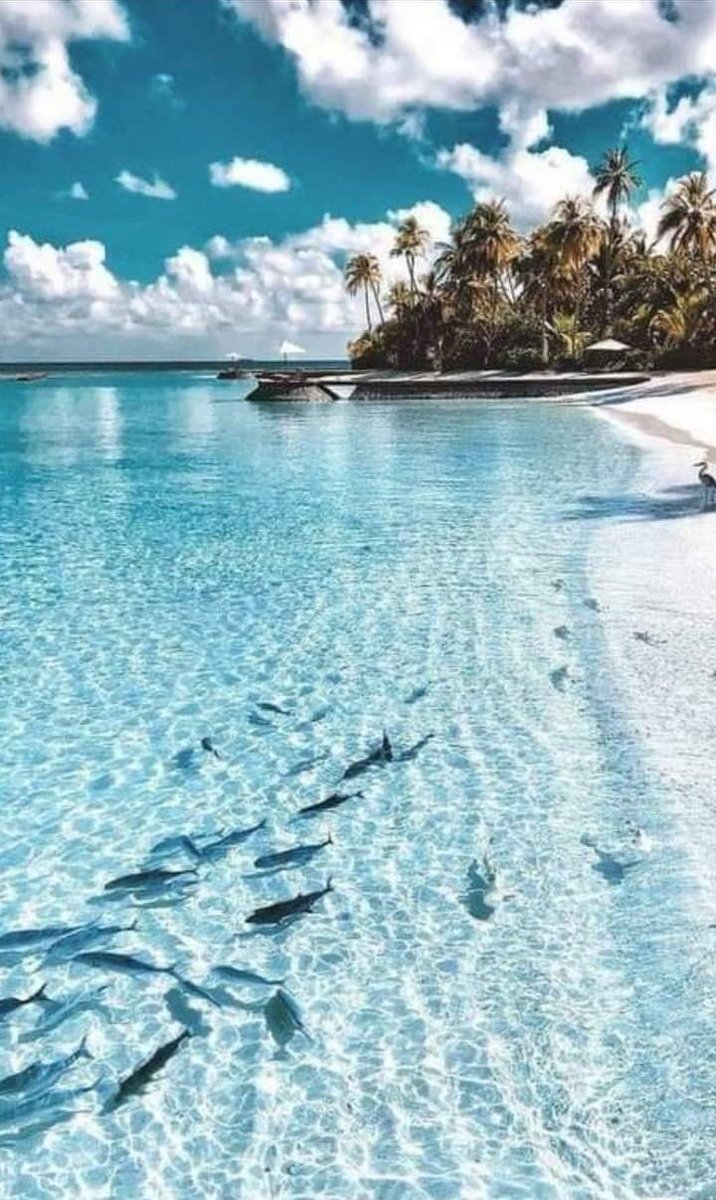 ★ 
... If you could take anything to a desert island, what would you take?