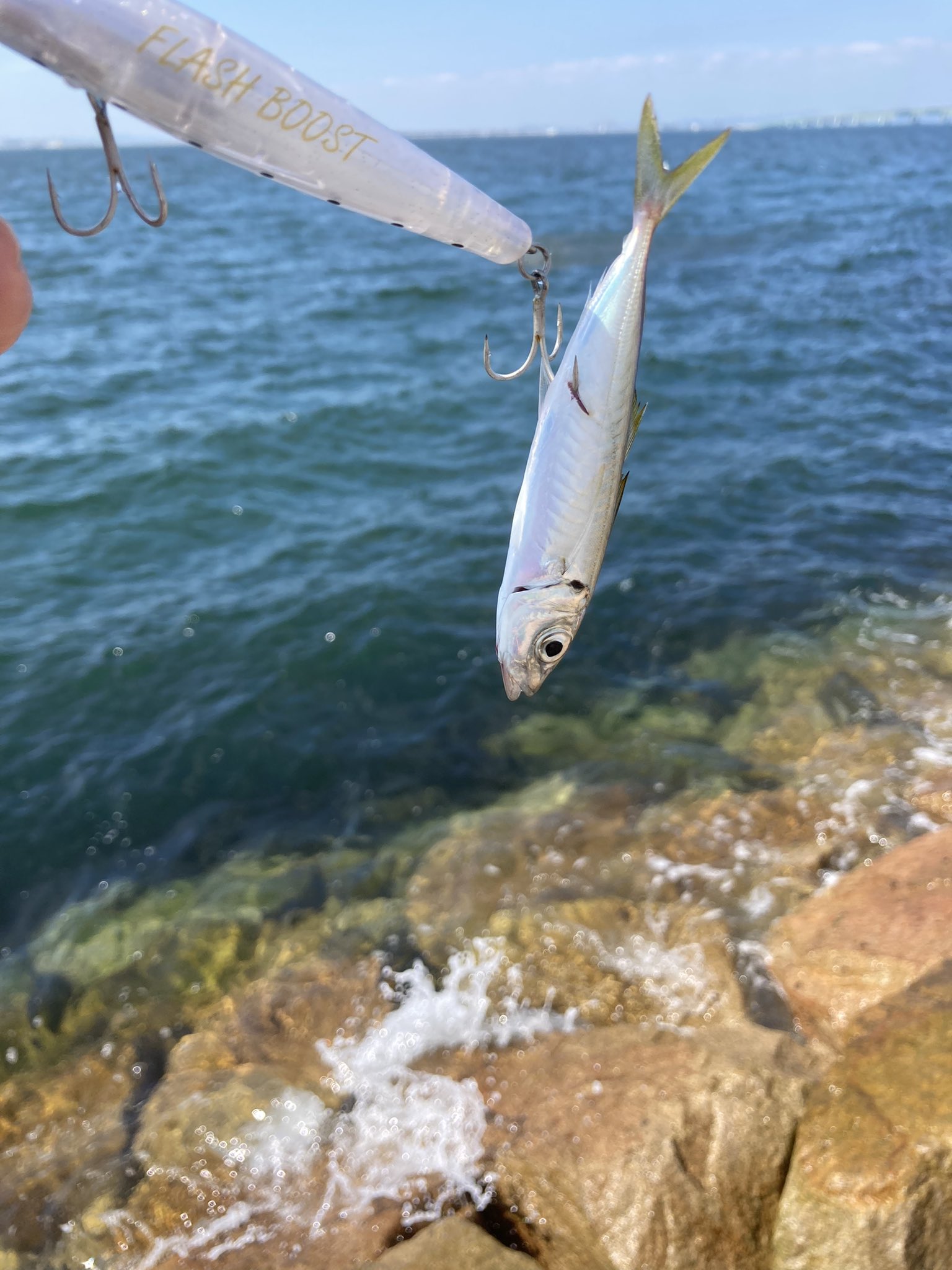 19バリスティック Twitter Search Twitter