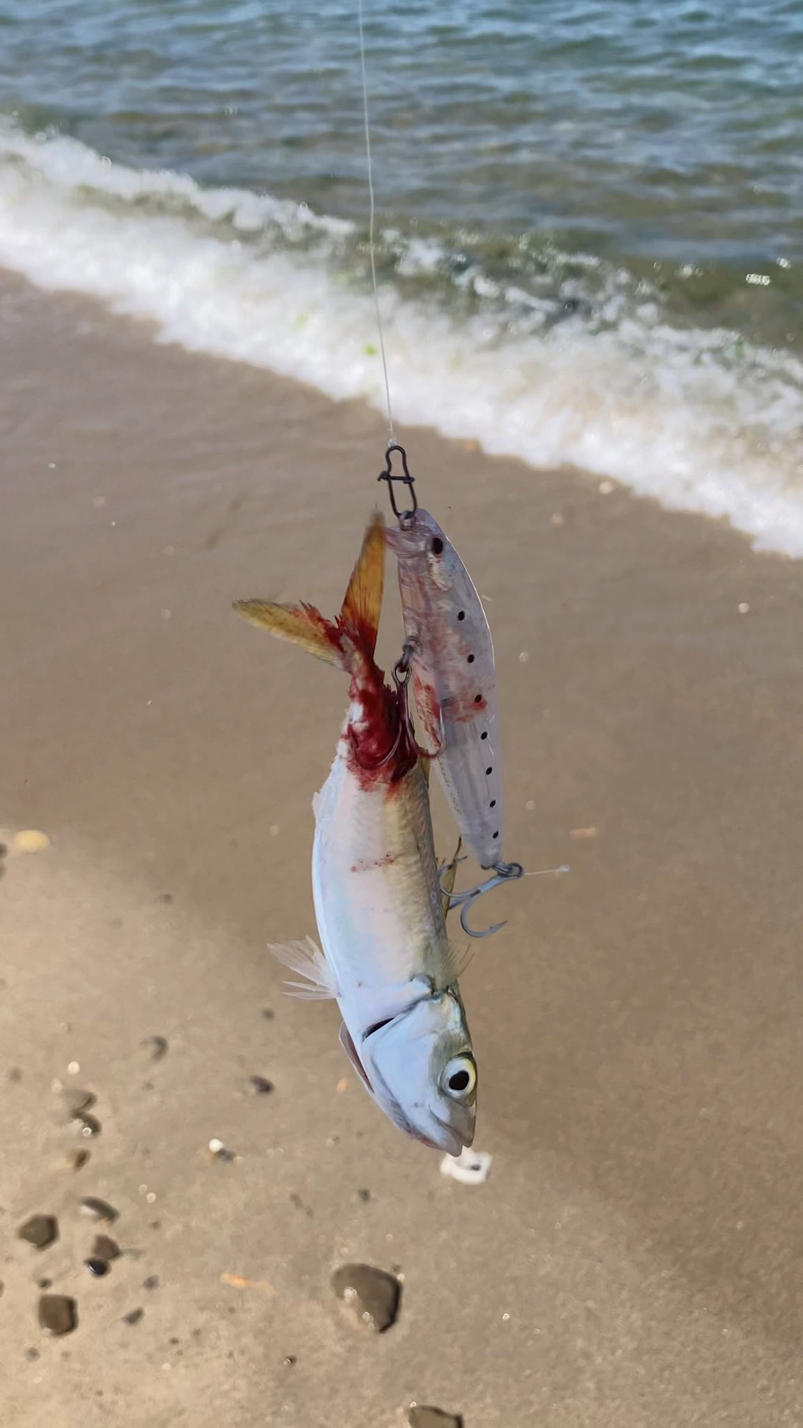 19バリスティック Twitter Search Twitter