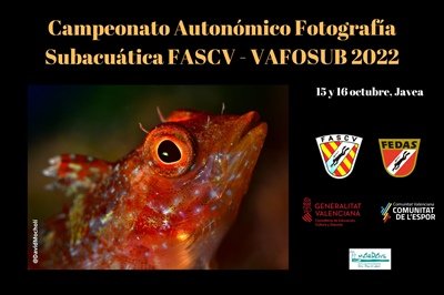 FEDASValencia's tweet photo. Convocatoria del #CampeonatoAutonómico de #FotografíaSubmarina de la #ComunidadValenciana – #VAFOSUB 2022 que se celebrará el fin de semana del 15 y 16 de octubre en Javea 
Más detalles en el link

https://t.co/FL3KhZaFCV https://t.co/CyaKi9nofl