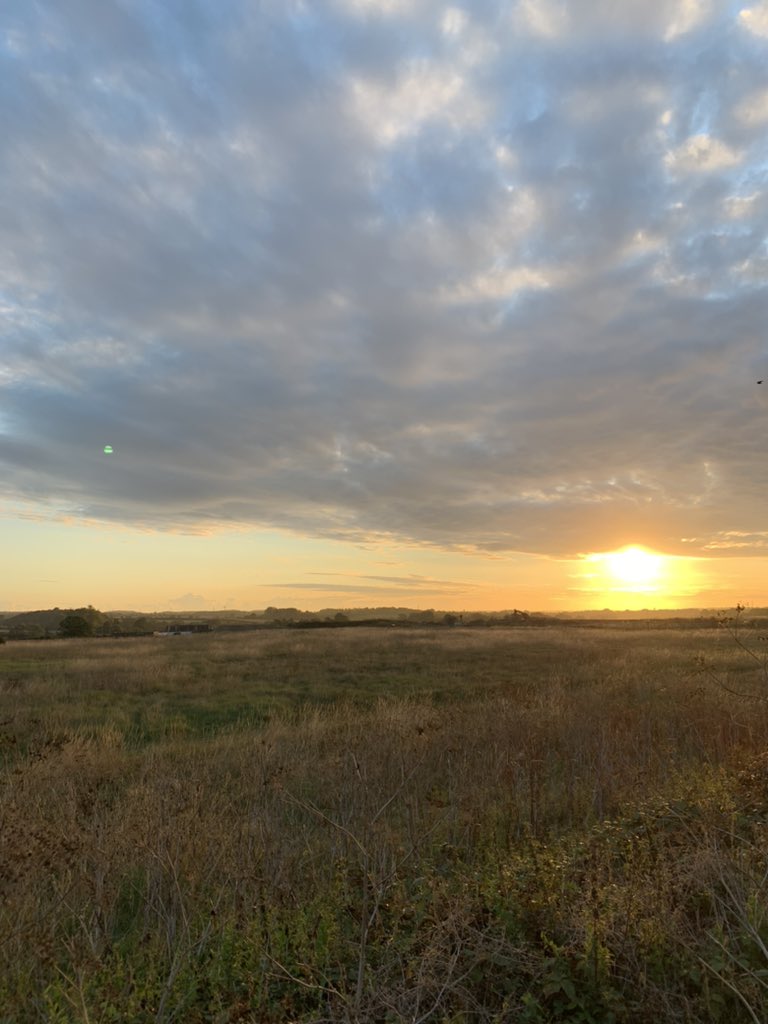 pjrunnner's tweet photo. Friday morning.
Sun rising.
Podcast, coffee and a 5km walk all before 7am. 💙#fridaymorning https://t.co/5bblTPsGsI