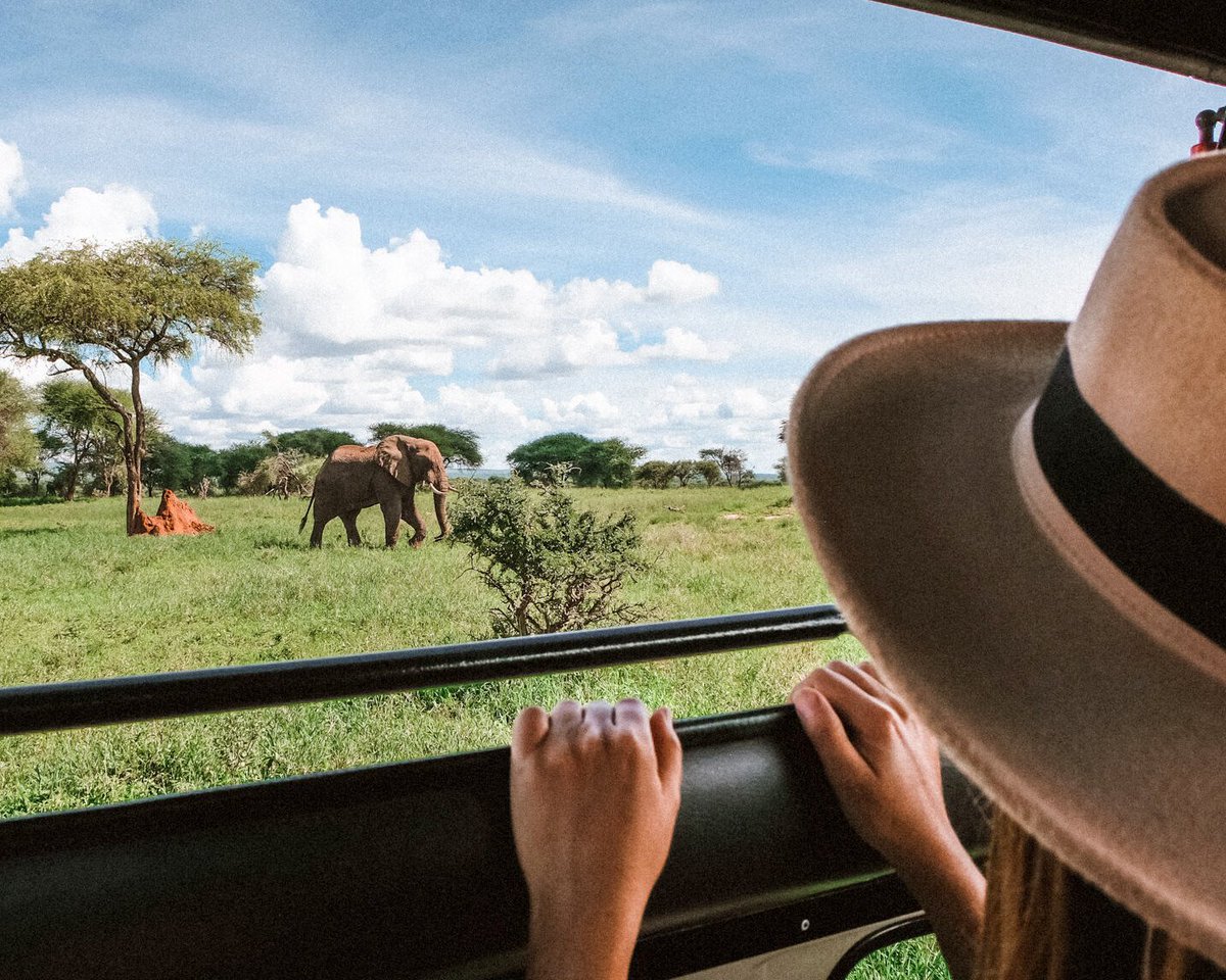 gosheni_safaris's tweet photo. Unforgettable Tanzania experience with Gosheni Safaris!
#discovertheunexpected
#tanzaniaroyaltour
#tanzanialeadingtouroperator
#kenyaleadingtouroperator
#localtouroperator https://t.co/tDmTIXveSp