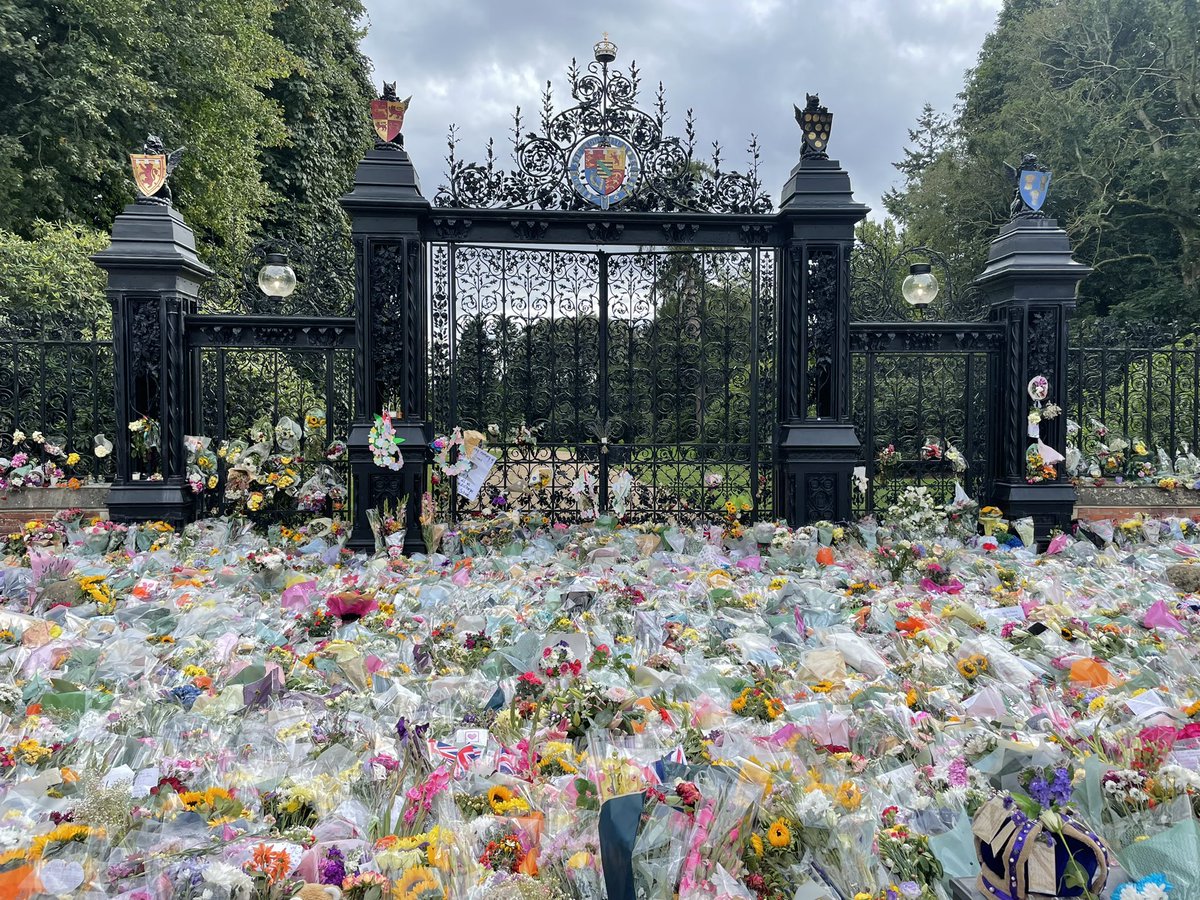 john9345's tweet photo. @ReeveHelen Must have missed you amongst all the flowers! https://t.co/phAJZf8DDE