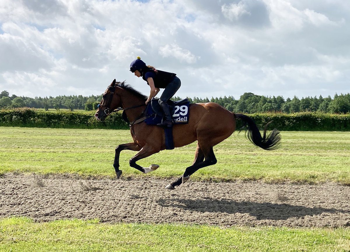 We have one runner at Newton Abbot this afternoon.

Jonjo Jr. rides The Composeur in the 4.30 Handicap Chase.
