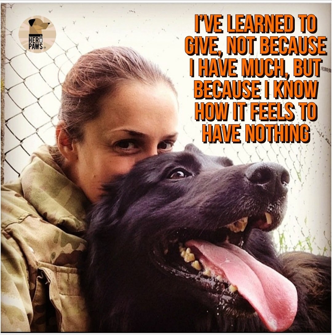 jaimegarner20's tweet photo. For all they do for us in conflict and war. For our country and others. Unshakeable loyalty. Unscathed devotion... Protection after service is the least we can offer them
https://t.co/rm8LEmb8rZ @PawsHero https://t.co/durDY6jmZ3