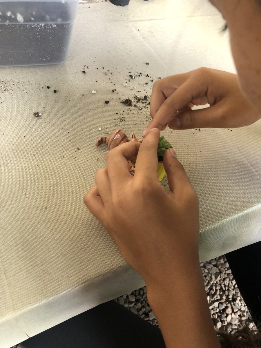mrfalk1's tweet photo. #midpac MPX students @MarisGardens today to learn about potting succulents and air plants. What you don’t see is the design and iteration that went into creating planters using @tinkercad and printing on Ender printers @Creality3dprint to meet specific design criteria. https://t.co/C4mBNnrk2h